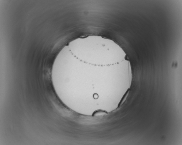 X0000112500045200909071255