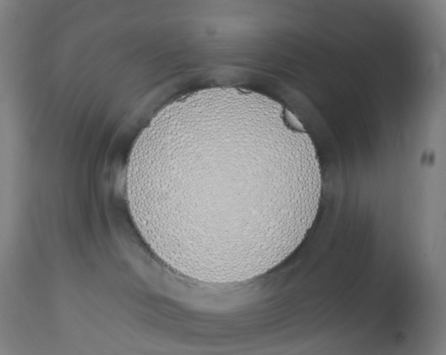 X0000112500046200909071255