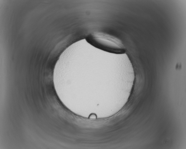 X0000112500048200909071255