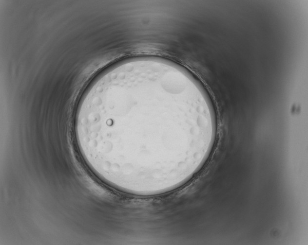 X0000112500049200909071254