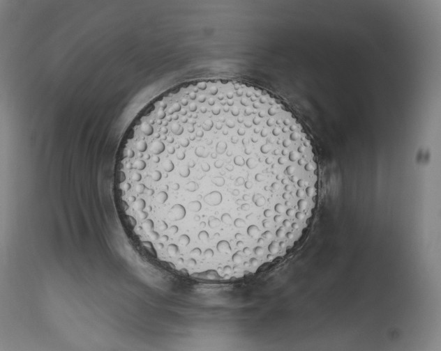 X0000112500051200909071254