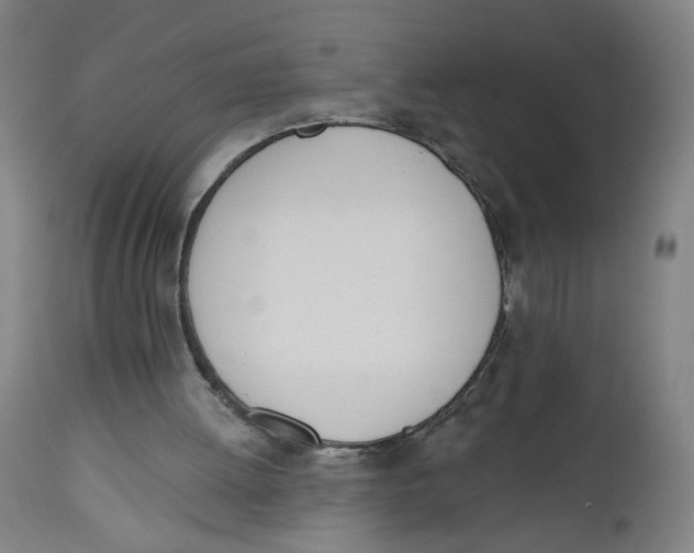 X0000112500052200909071254