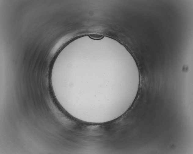 X0000112500054200909071254