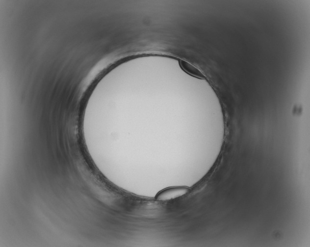 X0000112500056200909071254