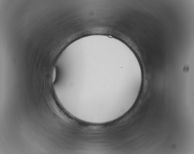 X0000112500057200909071254