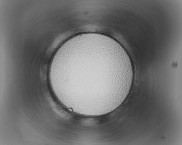 X0000112500058200909071254