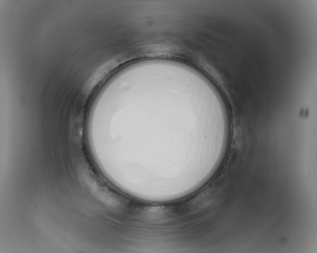 X0000112500059200909071254