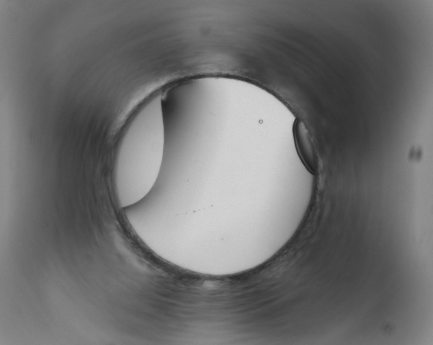 X0000112500060200909071254