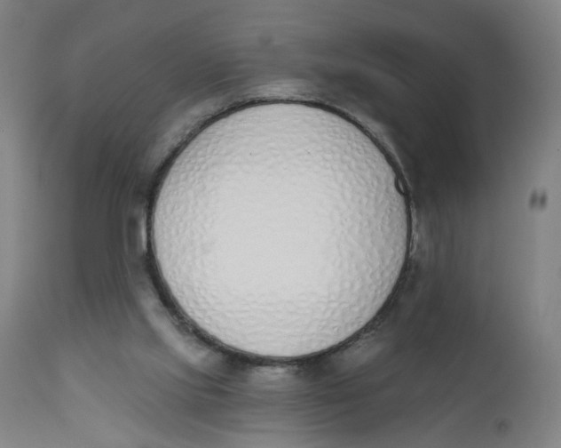 X0000112500061200909071254