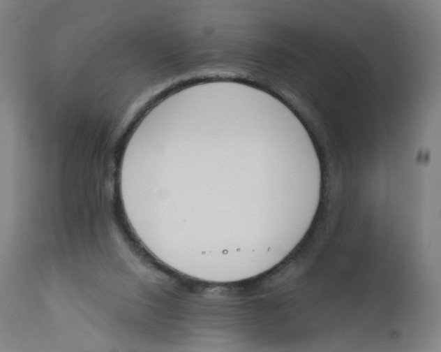 X0000112500064200909071255