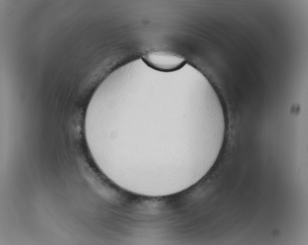 X0000112500065200909071255