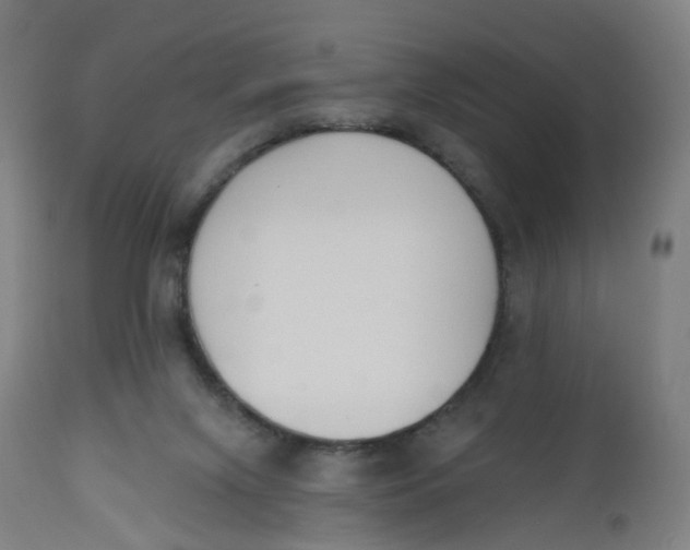 X0000112500071200909071255