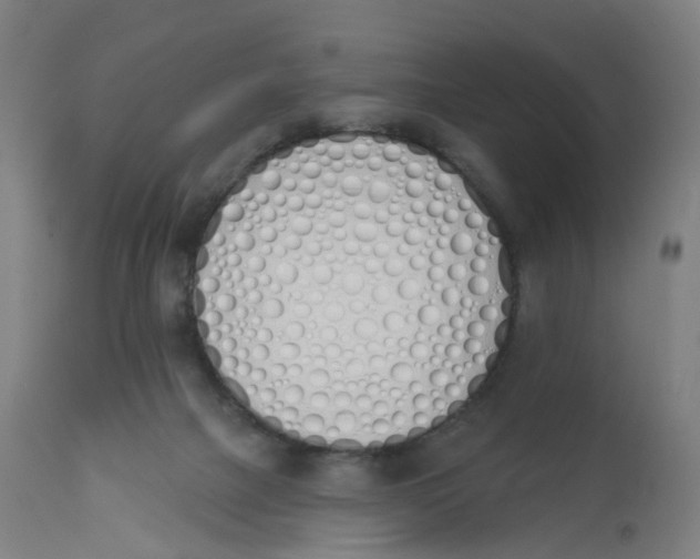 X0000112500073200909071255