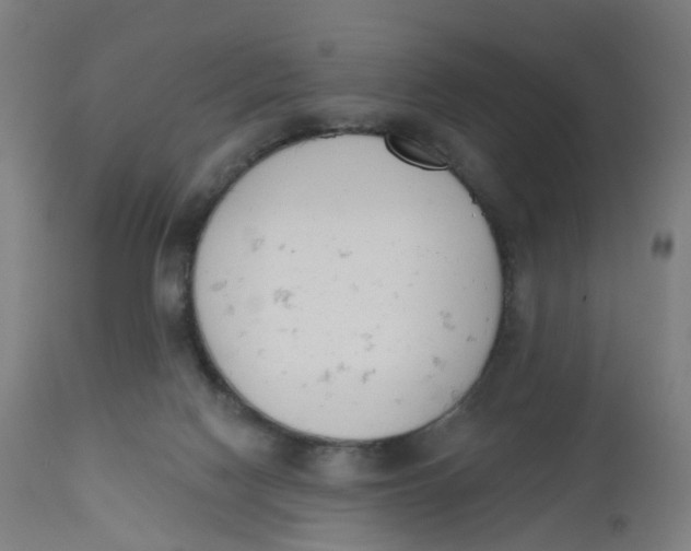 X0000112500074200909071255