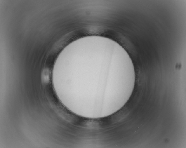 X0000112500075200909071255