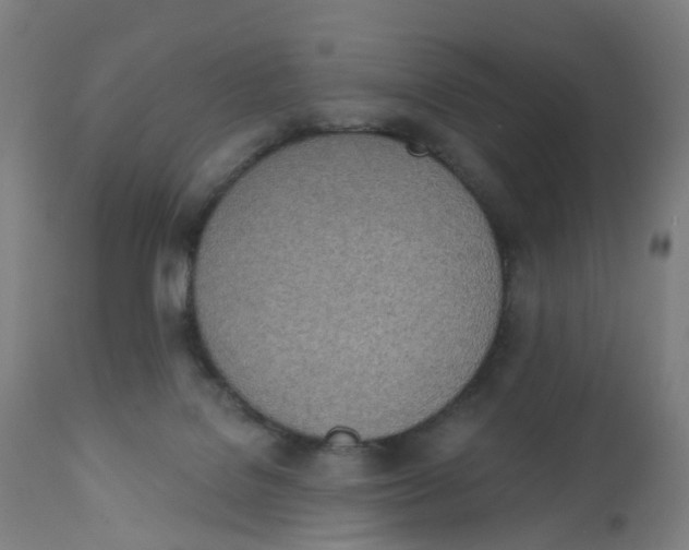 X0000112500076200909071255