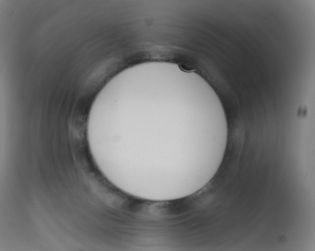 X0000112500078200909071255