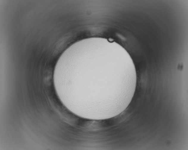 X0000112500082200909071255