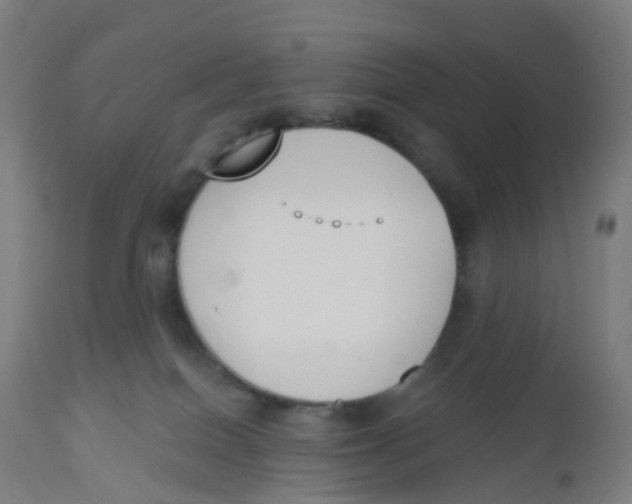 X0000112500086200909071255