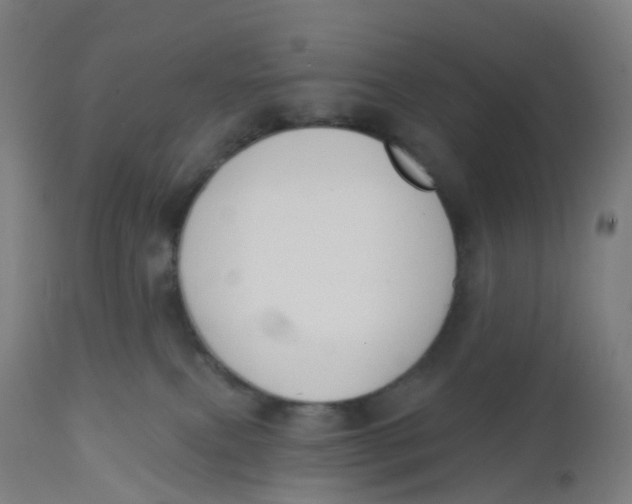 X0000112500087200909071255