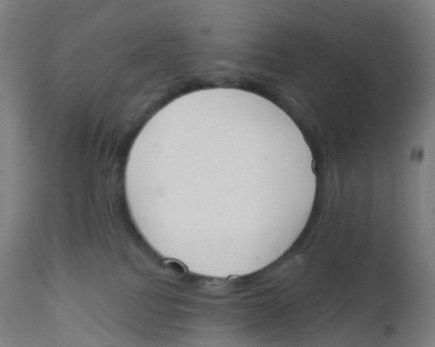 X0000112500088200909071255