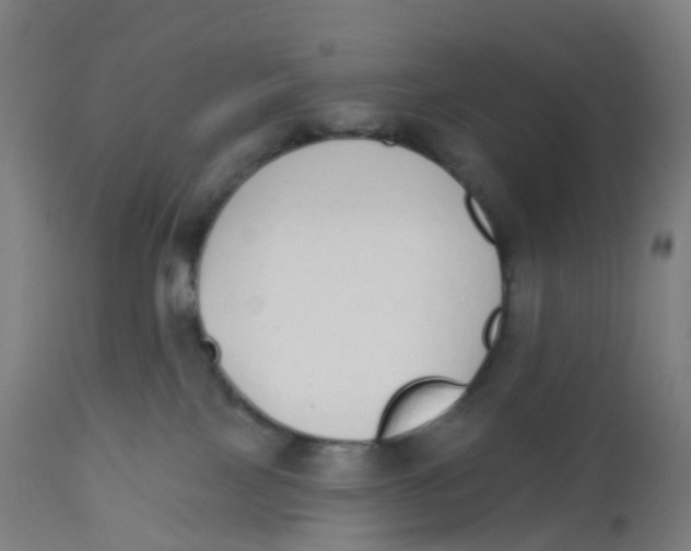 X0000112500089200909071255