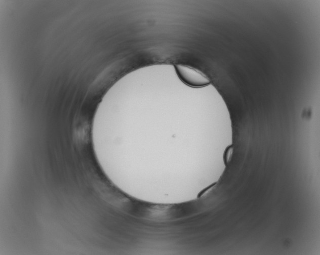 X0000112500090200909071255