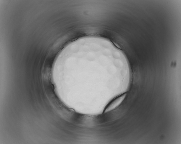 X0000112500093200909071255