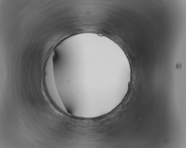 X0000112500097200909071254