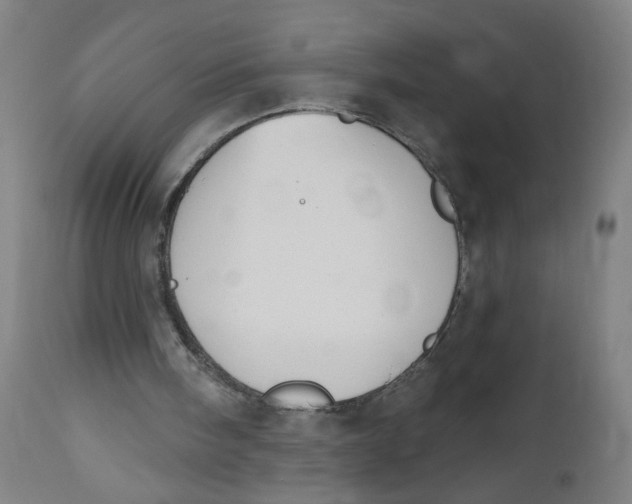 X0000112500098200909071254