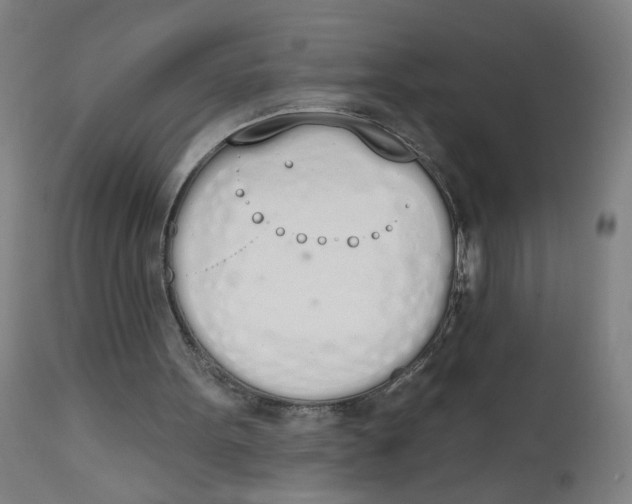 X0000112500099200909071254