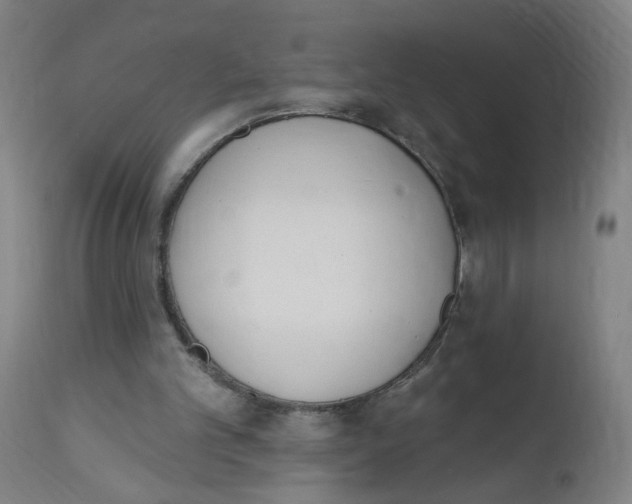 X0000112500101200909071254