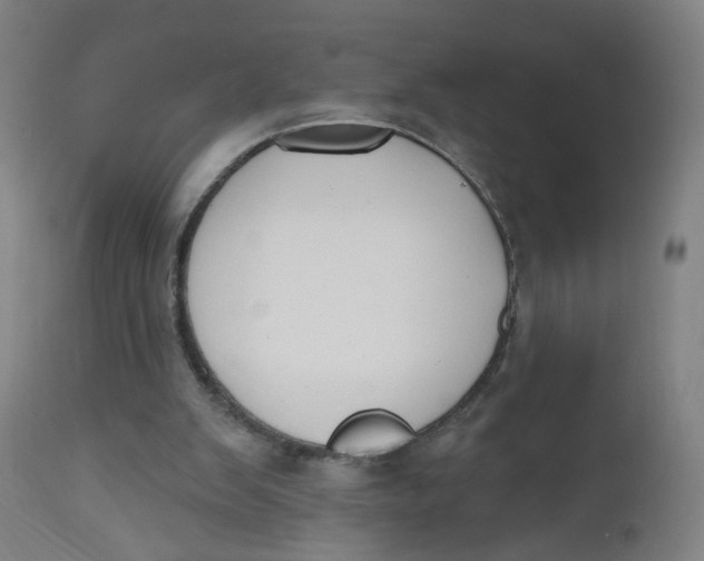 X0000112500103200909071254