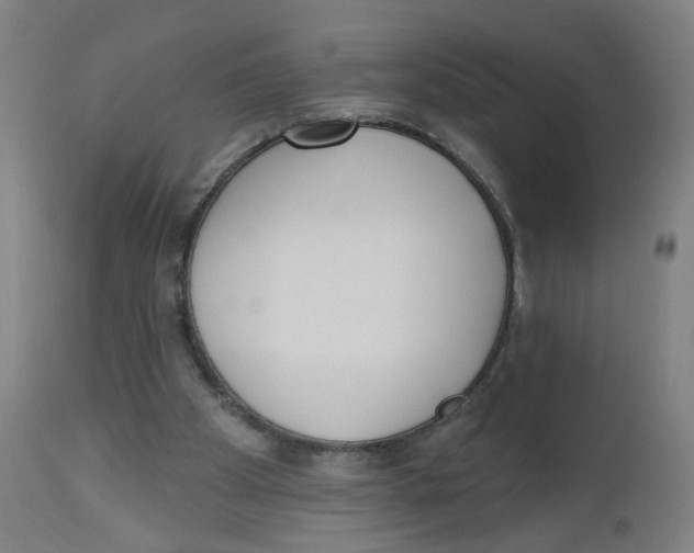 X0000112500105200909071254