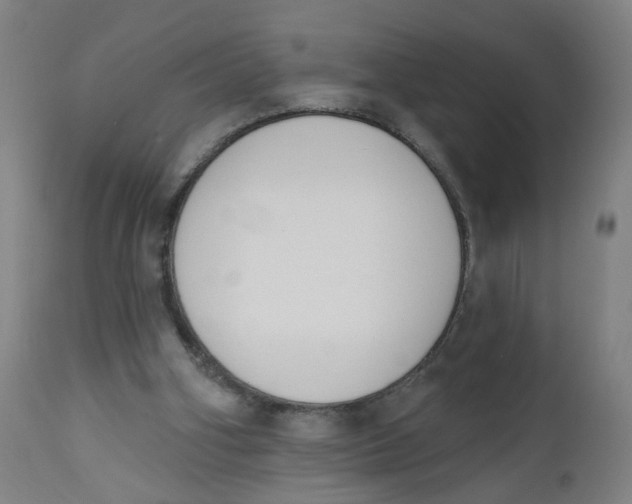 X0000112500106200909071254