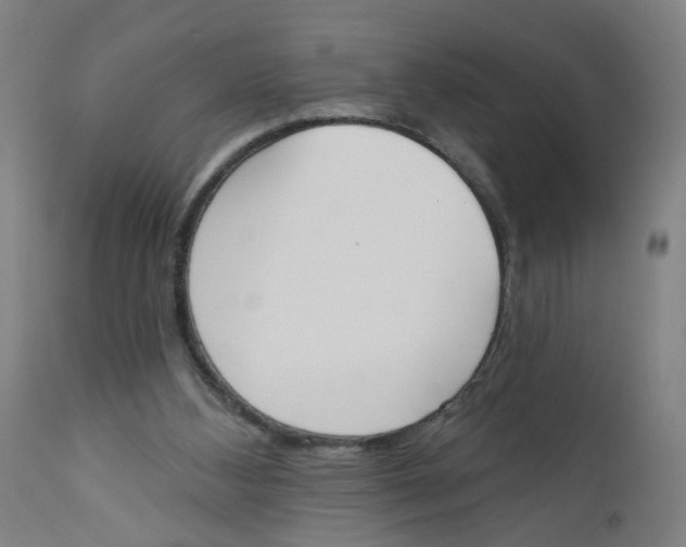 X0000112500108200909071254