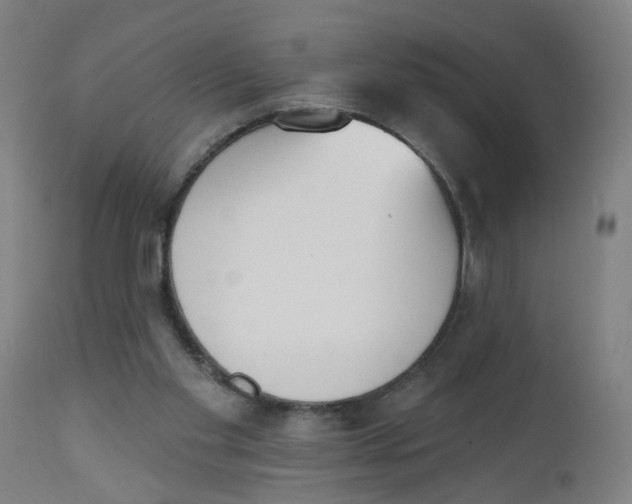 X0000112500109200909071254