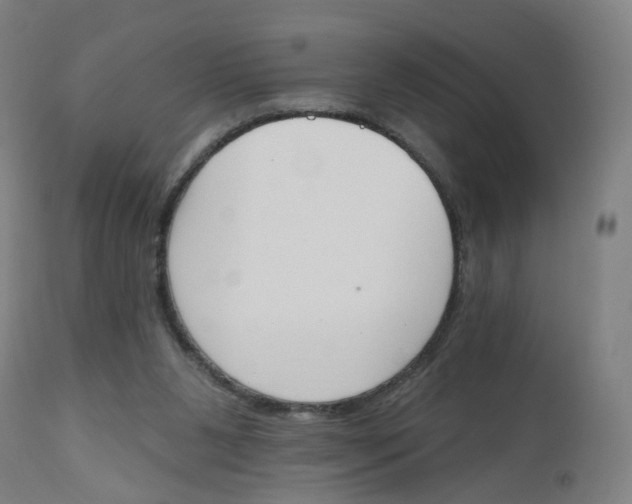 X0000112500111200909071254