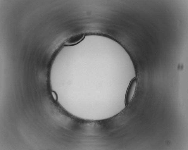 X0000112500112200909071254