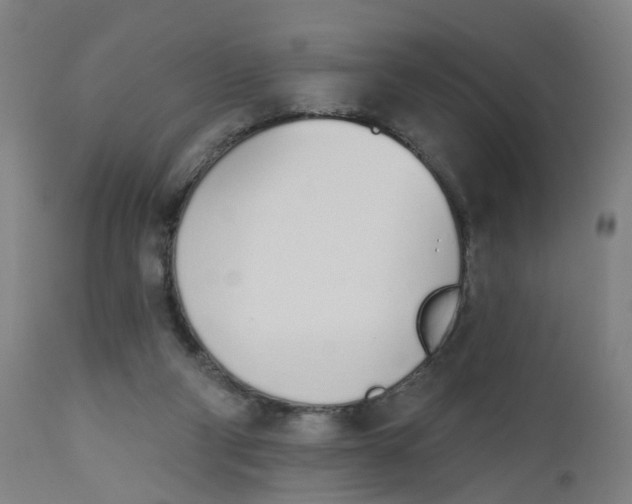 X0000112500114200909071254