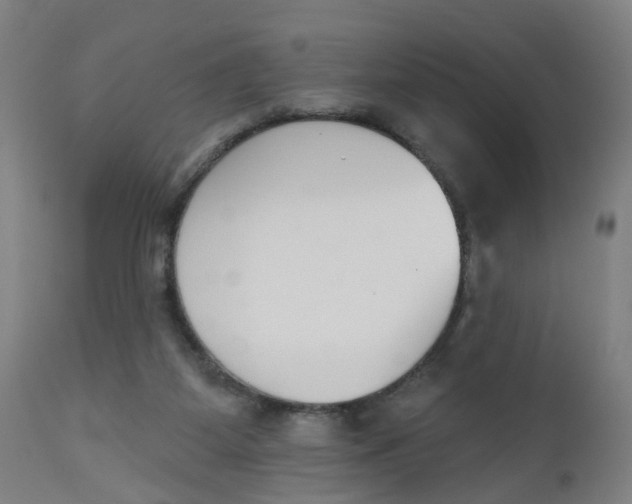 X0000112500115200909071254