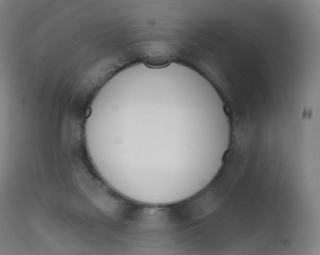 X0000112500117200909071254