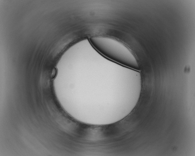 X0000112500120200909071254