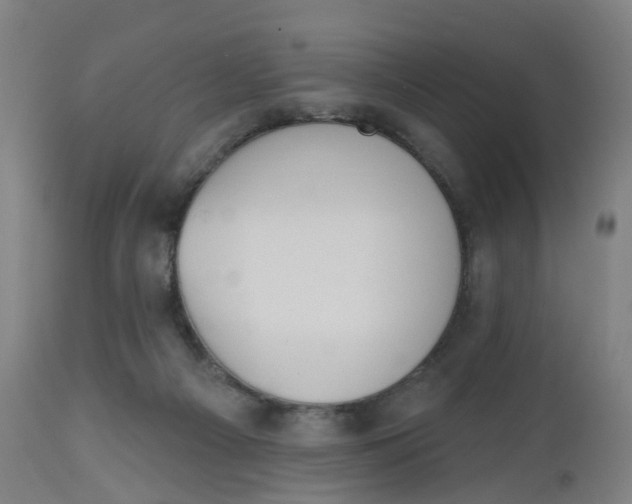 X0000112500121200909071254