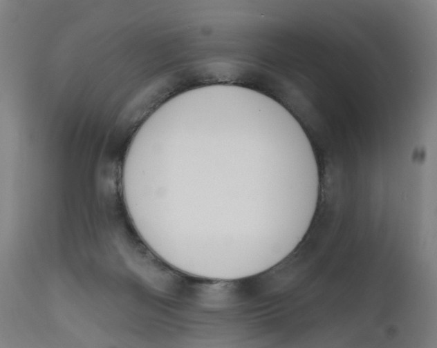 X0000112500122200909071254