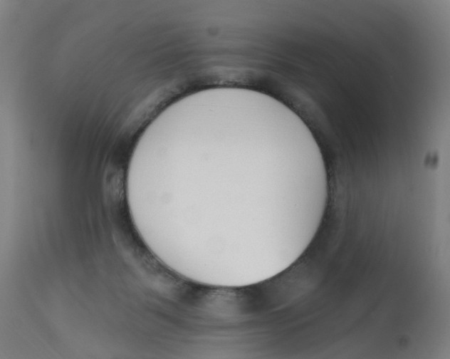 X0000112500123200909071254