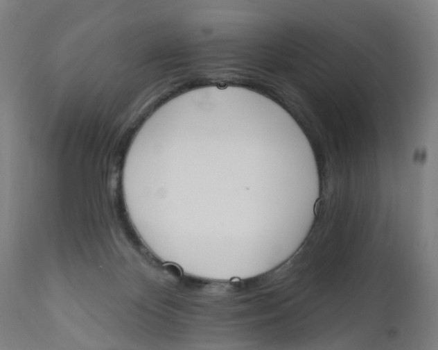 X0000112500124200909071254