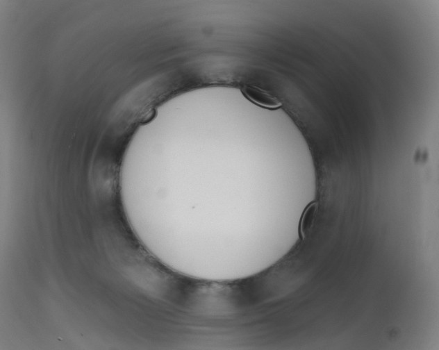 X0000112500125200909071254