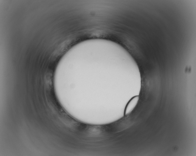 X0000112500127200909071254