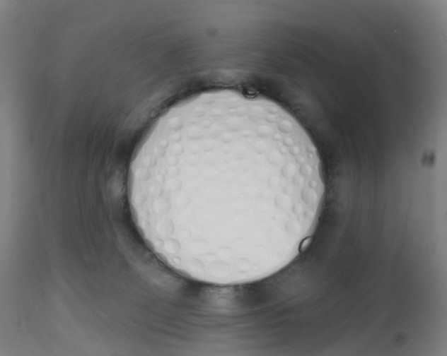 X0000112500131200909071254